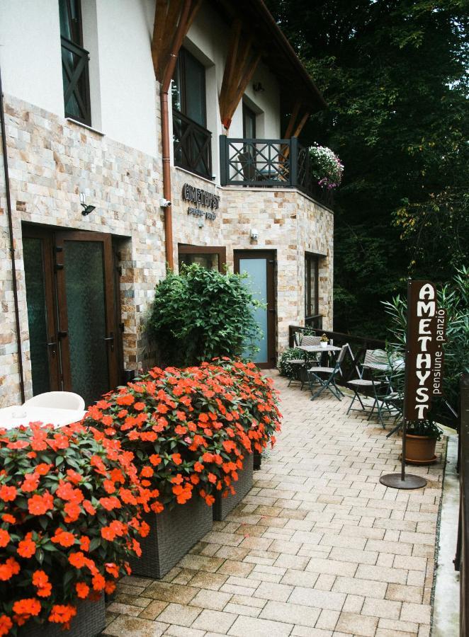 Bed and Breakfast Amethyst Sovata Exteriér fotografie